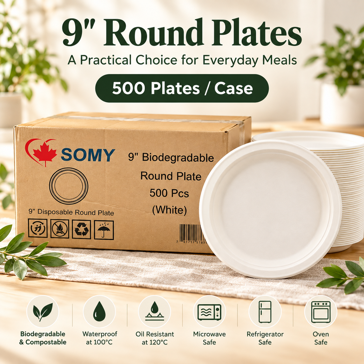 Round Biodegradable Disposable Plate - Case of 500