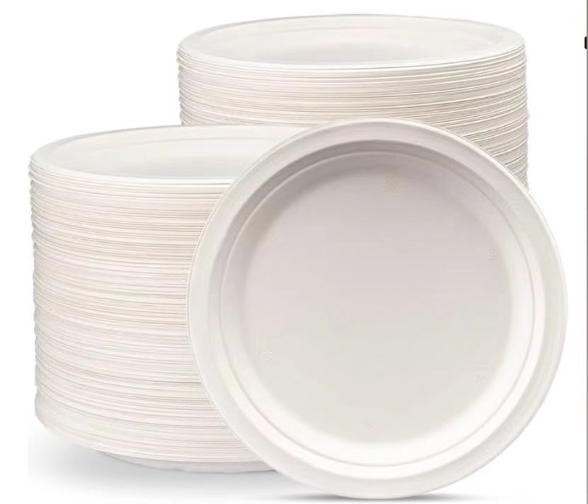 Round Biodegradable Disposable Plate - Case of 500